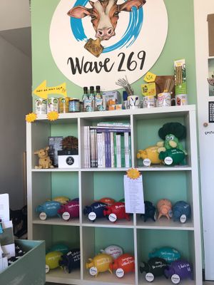 Many colours at Wave 269 in Ericeira