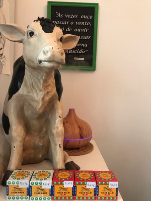 Bálsamo de tigre não falha  at Wave 269 in Ericeira