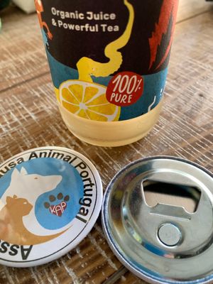 Ímans por boas causas at Wave 269 in Ericeira