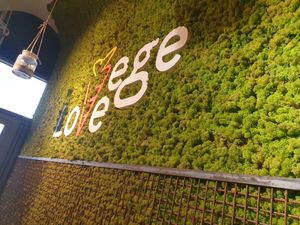  at Vege Love in Warsaw