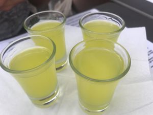 Shots on the house at Gloria Bendita in Malaga