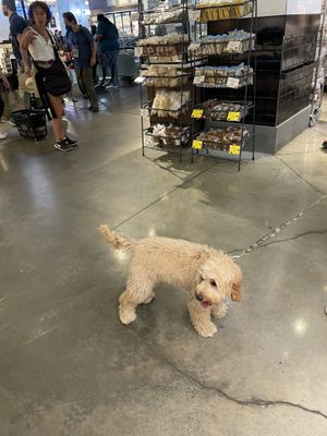   at Whole Foods Market in New York City