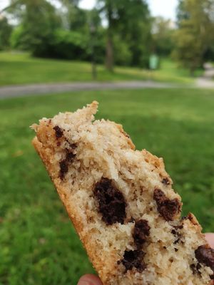 Chocolate chip scone at Whole Foods Market in New York City
