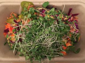 The scream, all add-ons, plus micro-greens. There's a lot more on this potato than the photo shows. This is a wonderful combo. at Papas Hot Potatoes in Seattle