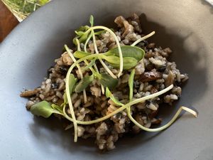 RISOTTO DE HUITLACOCHE - mushroom risotto  at Humo in Tulum