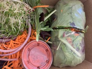 Garden Wrao at Nature's Health Food and Cafe in Palm Springs