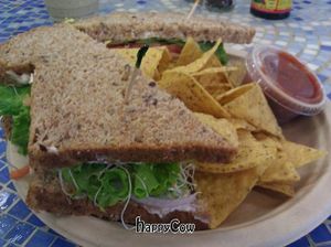avo sandwich at Nature's Health Food and Cafe in Palm Springs