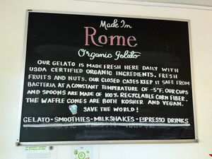 Info #Veganuary at Made In Rome Organic Gelato in Siesta Key