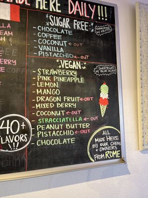Vegan gelato flavors at the minute  #Veganuary at Made In Rome Organic Gelato in Siesta Key