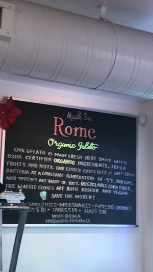 Clearly labeled waffle cone is vegan  at Made In Rome Organic Gelato in Siesta Key