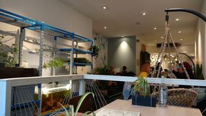 Restaurant at Sync-Ok in Deventer