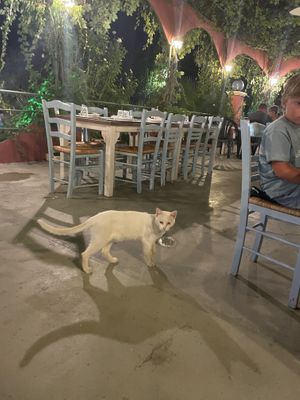   at Isalos in Zakynthos