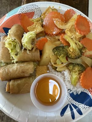 Vegan yellow curry with vegan spring rolls with dipping sauce 🫶  at Taste of Thai in East Lansing