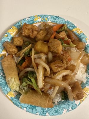 Teriyaki w/tofu  at Taste of Thai in East Lansing