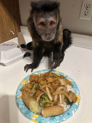   at Taste of Thai in East Lansing