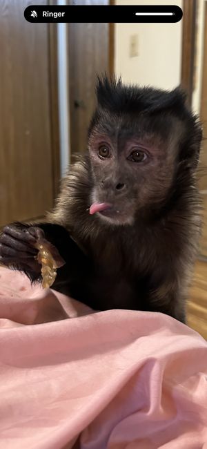   at Taste of Thai in East Lansing