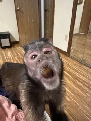   at Taste of Thai in East Lansing