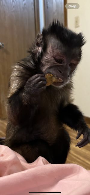   at Taste of Thai in East Lansing