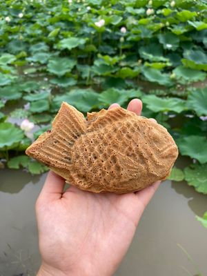   at Hakata Hiiragi Taiyaki in Fukuoka