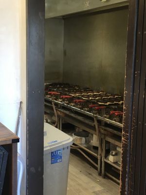 Taiyaki being freshly made  at Hakata Hiiragi Taiyaki in Fukuoka