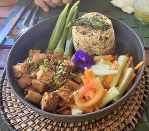   at Fox and the Firefly in Bohol