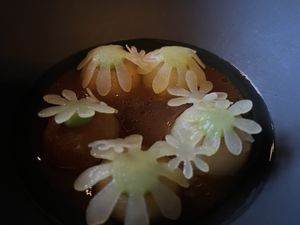 Seven Swans  at Seven Swans in Frankfurt