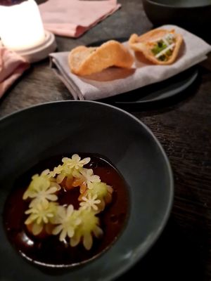   at Seven Swans in Frankfurt