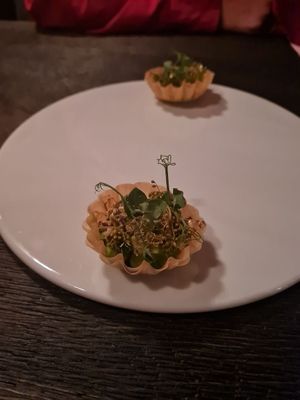   at Seven Swans in Frankfurt