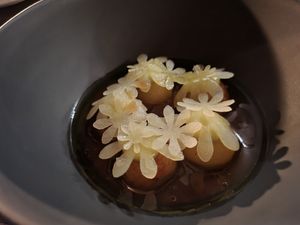  at Seven Swans in Frankfurt