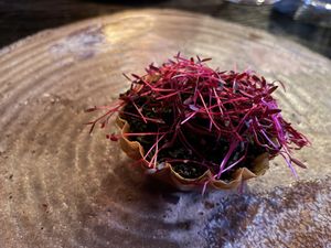   at Seven Swans in Frankfurt