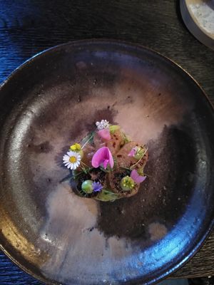  at Seven Swans in Frankfurt