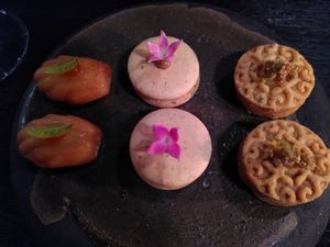  at Seven Swans in Frankfurt