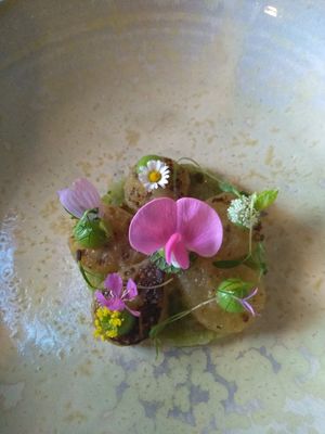  at Seven Swans in Frankfurt