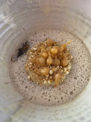  at Seven Swans in Frankfurt