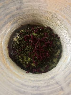  at Seven Swans in Frankfurt