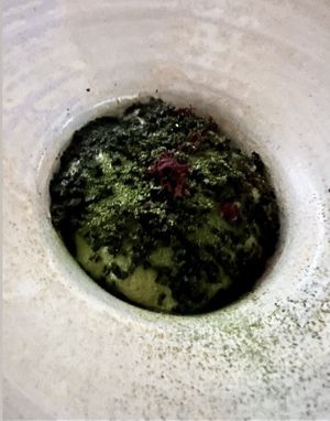   at Seven Swans in Frankfurt