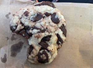 Cookie  at V-Bandits in Ludwigsburg