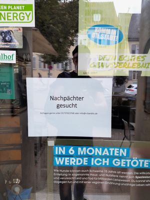  at V-Bandits in Ludwigsburg