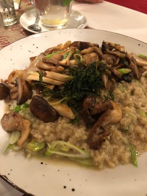 Risotto  at V-Bandits in Ludwigsburg