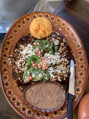 Enchiladas with mole saucee  at Luna Mexicana in Joliet