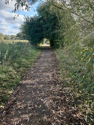 Nearby walk at The Ark in Northampton