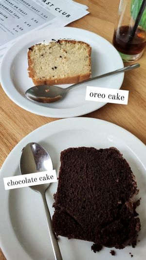  at The Ark in Northampton