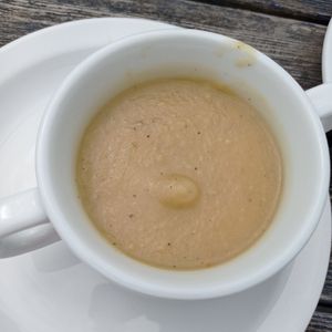  at The Ark in Northampton