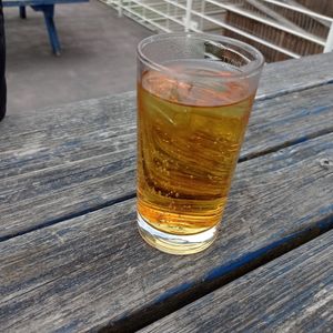  at The Ark in Northampton