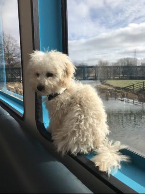   at The Ark in Northampton