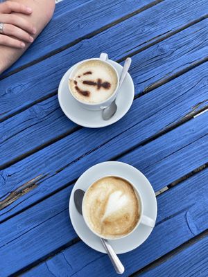   at The Ark in Northampton