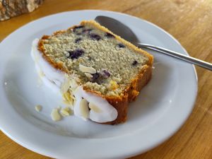  at The Ark in Northampton