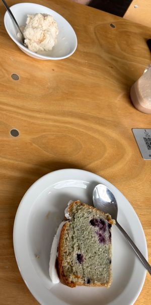 Cake and ice-cream
24/05/25 at The Ark in Northampton