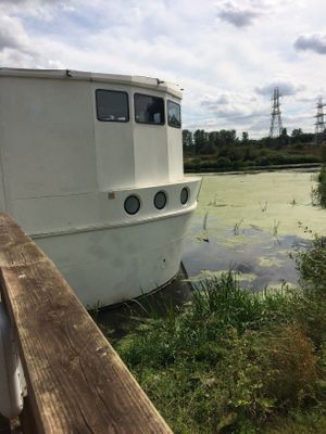 Peaceful location  at The Ark in Northampton