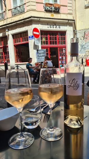 Lunch at a shady table on a quiet side street at Laska in Lyon